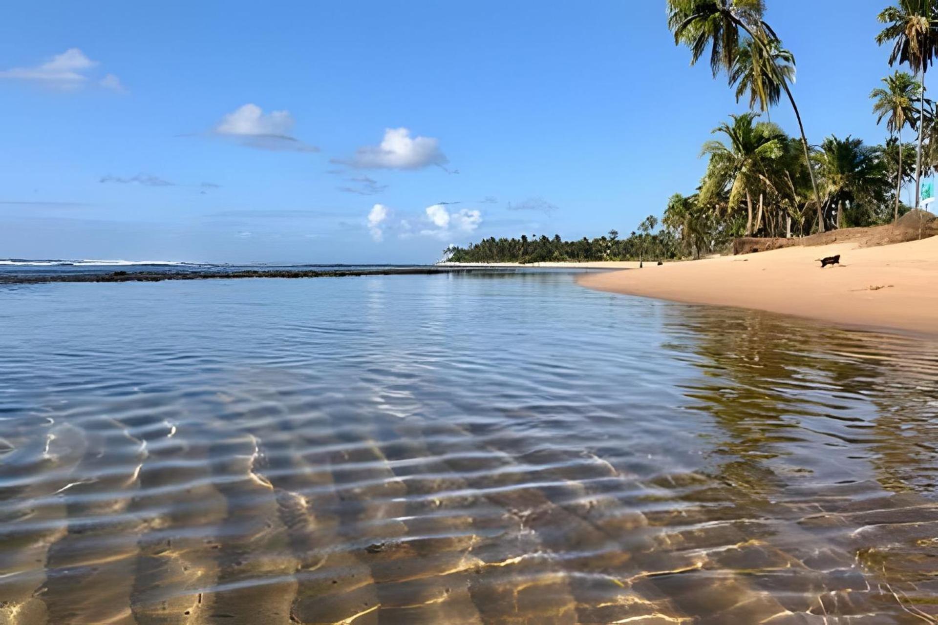 Praia Do Forte Apartamento Fantastico Luaran gambar